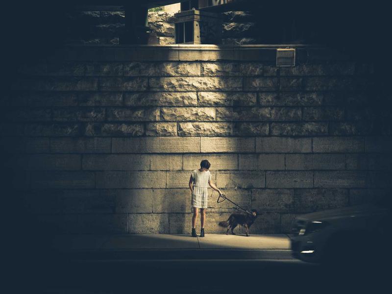 人类清除计划<br>mcbhuqd.cn 年度狂欢夜